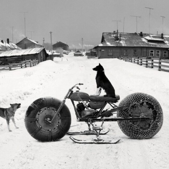 Пенти Самалахти фотограф