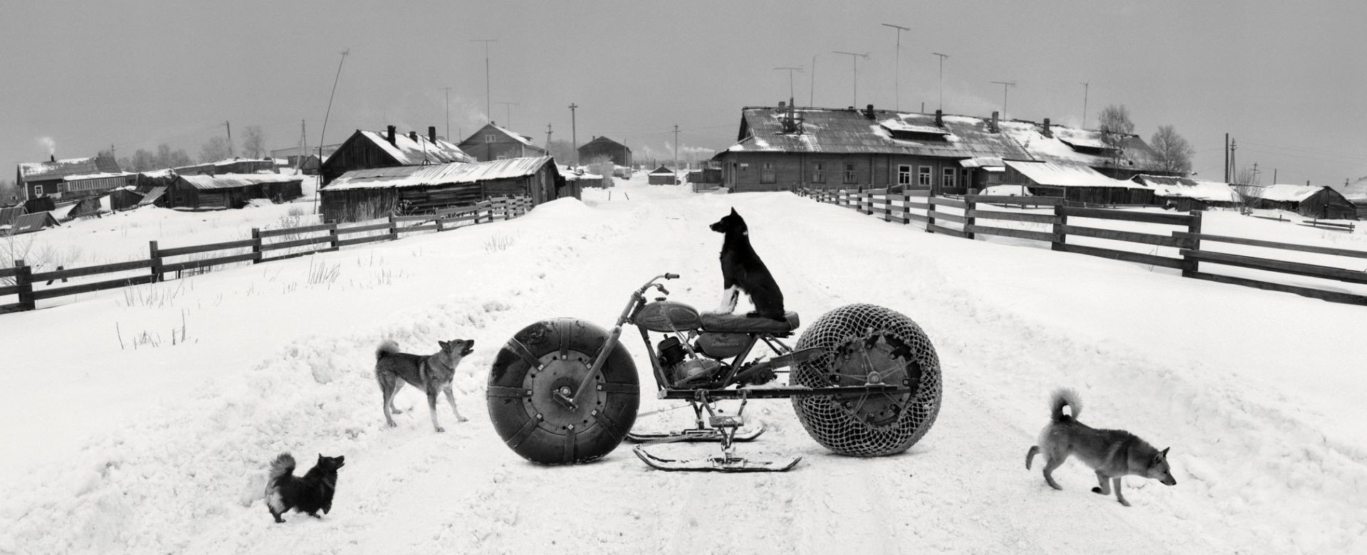 Пенти Самалахти фотограф