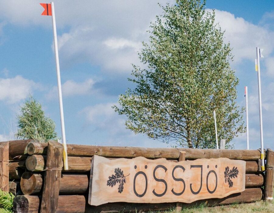 Охьо Мари Фредриксон