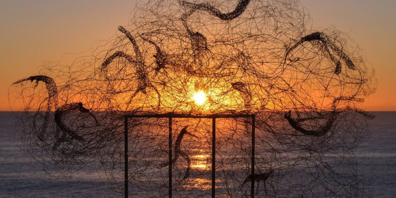 Барбара Лиха