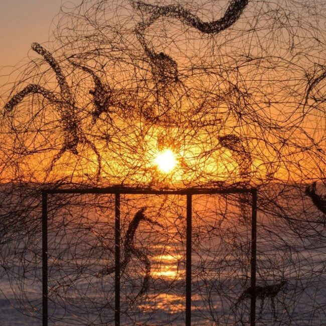 Барбара Лиха