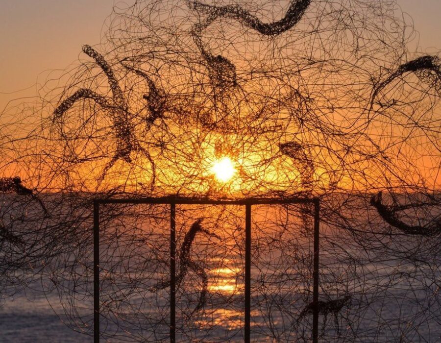 Барбара Лиха