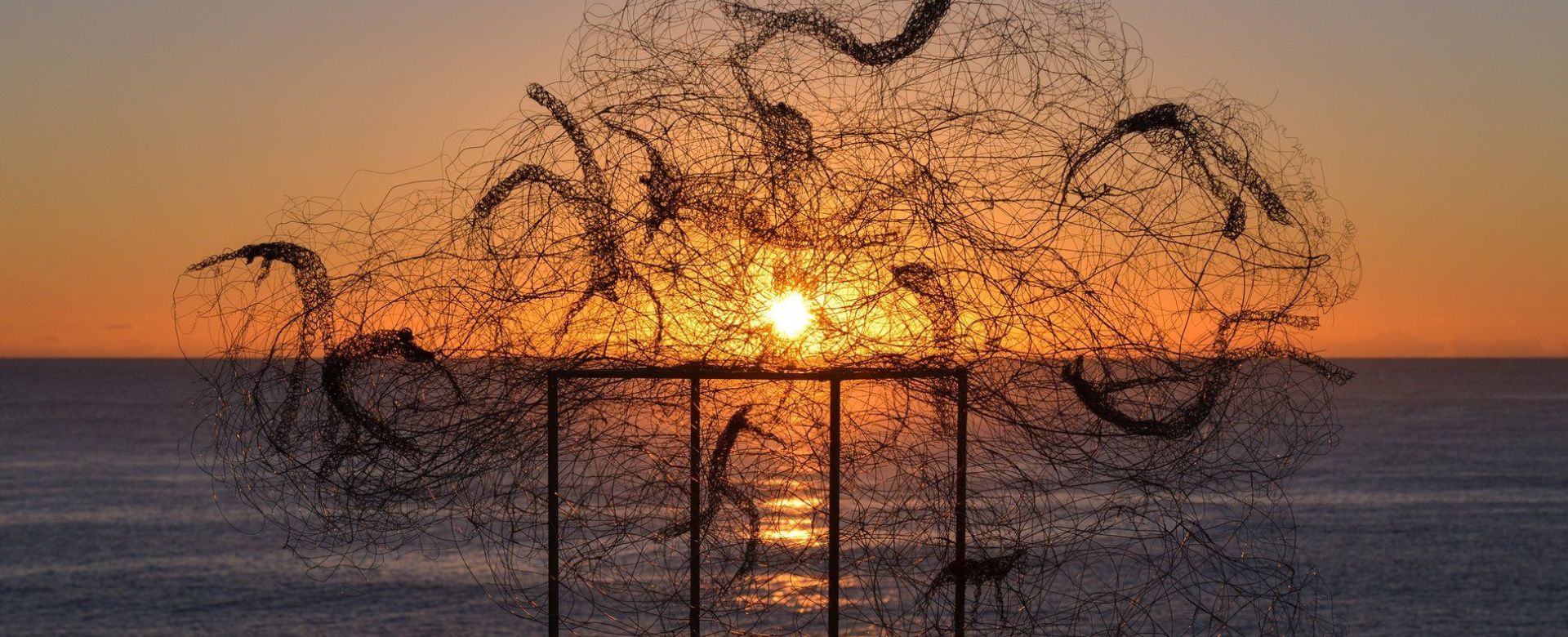 Барбара Лиха