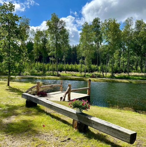 497447643_1296225272512334_8669259251137004970_n