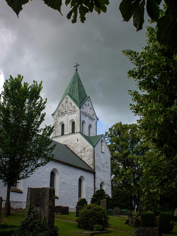 497499101_24678207141779230_5678152462707250469_n