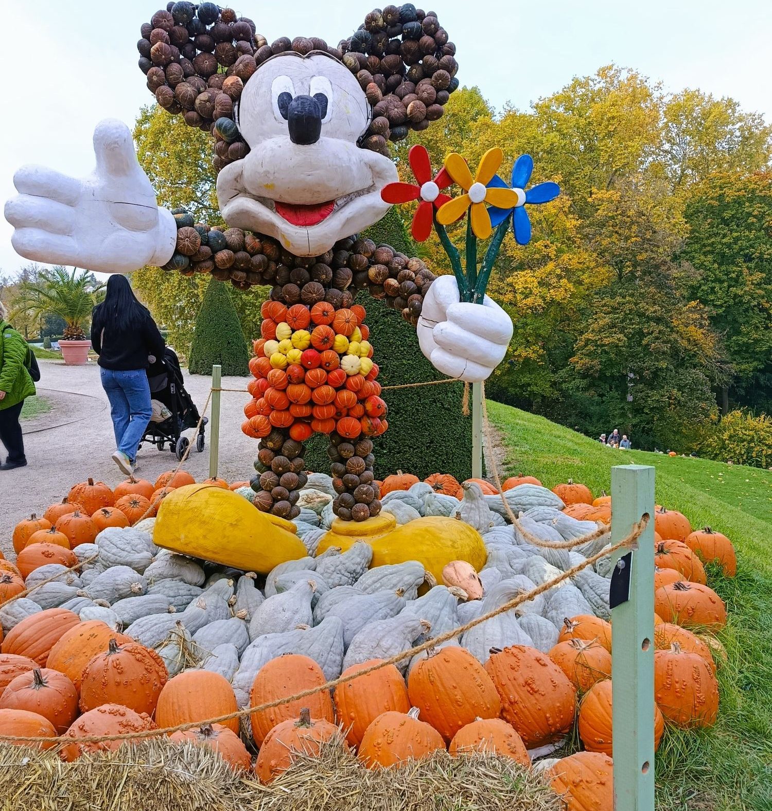 4a94e3a5-3824-4317-9d48-3c8ece78324b_DE