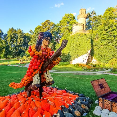 540300657_31156053154040668_3500219534225778601_n