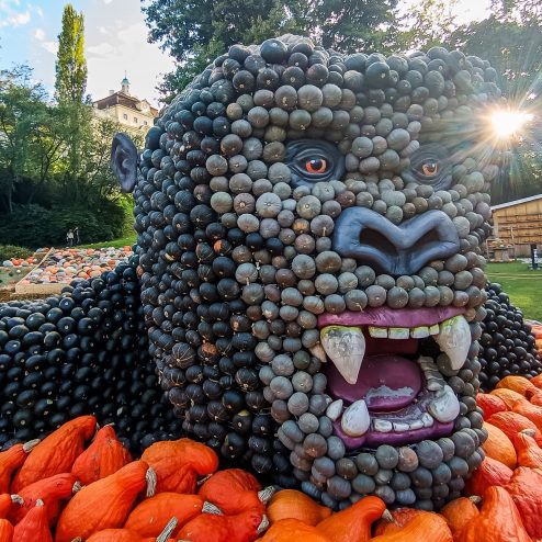 540680981_31156046430708007_5006483433422442900_n