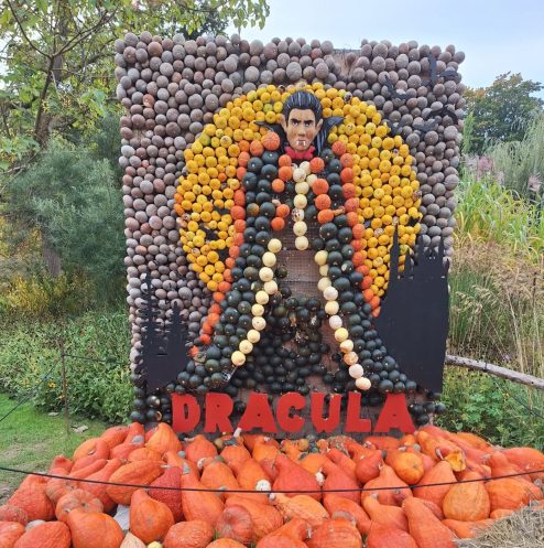 569426159_18532791913037953_7112178180617058652_n