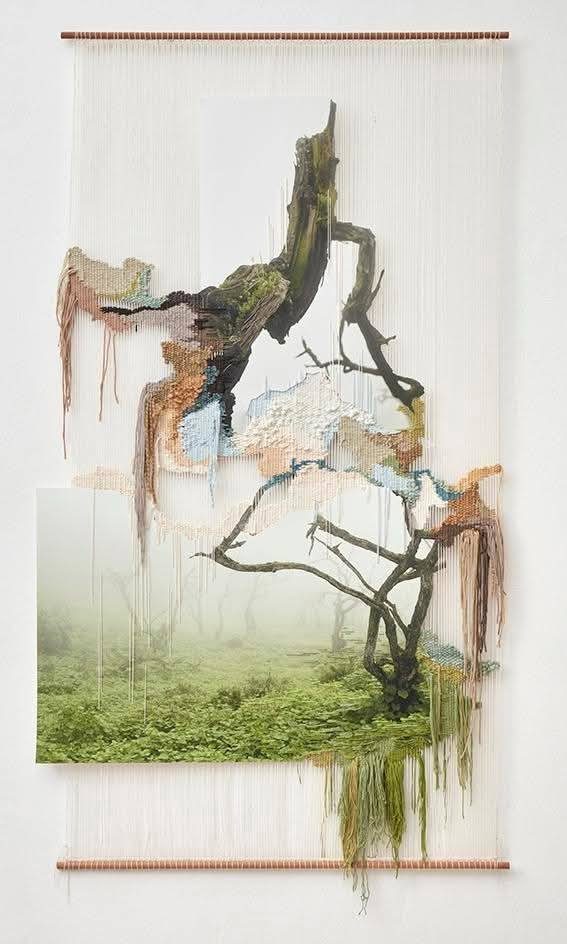 625101526_10238880205357755_6409785499304801260_n