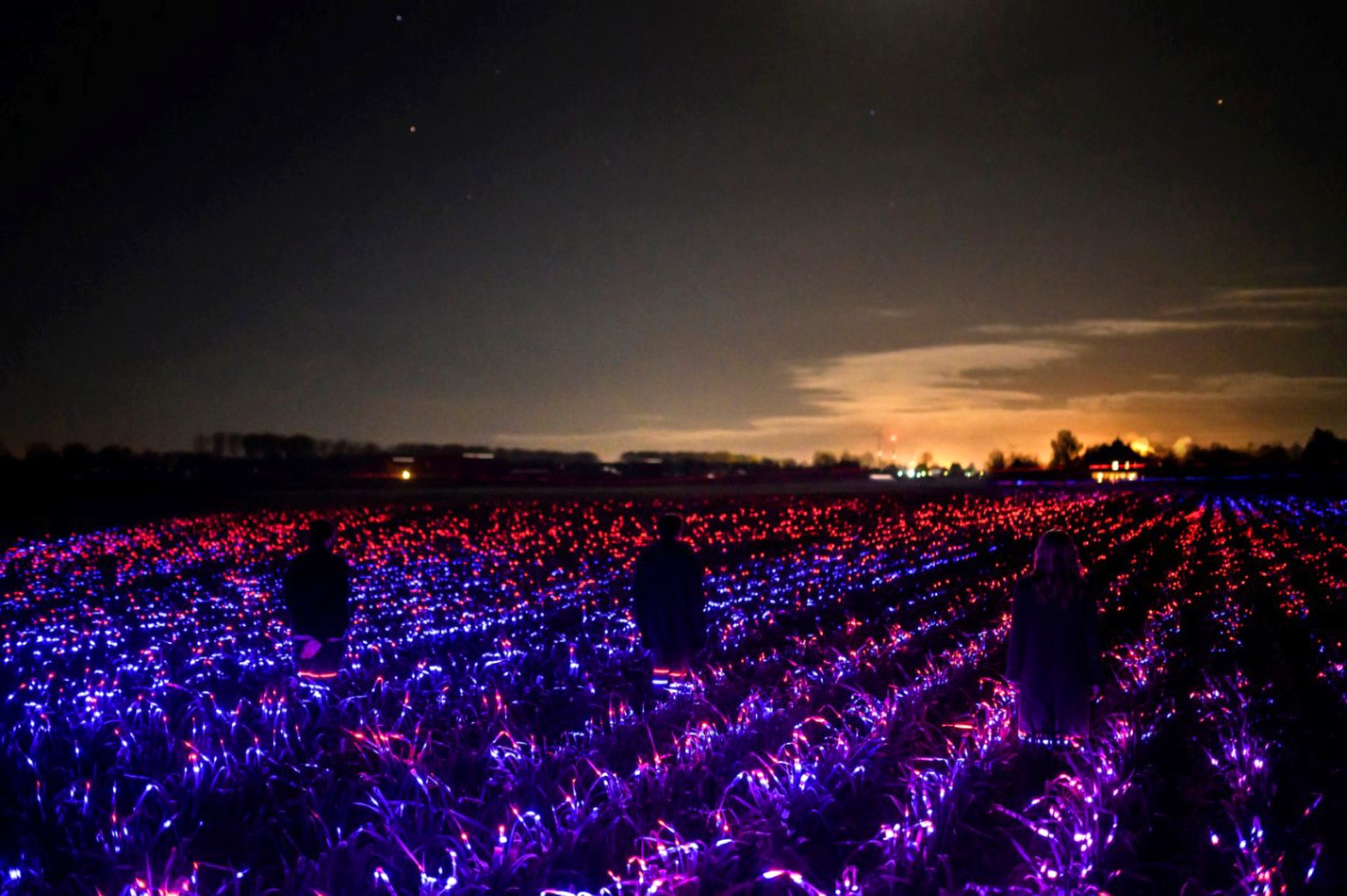The field of lights made by the designer Daan Roosegaarde. 
(Daan Roosegaarde/Newsflash)