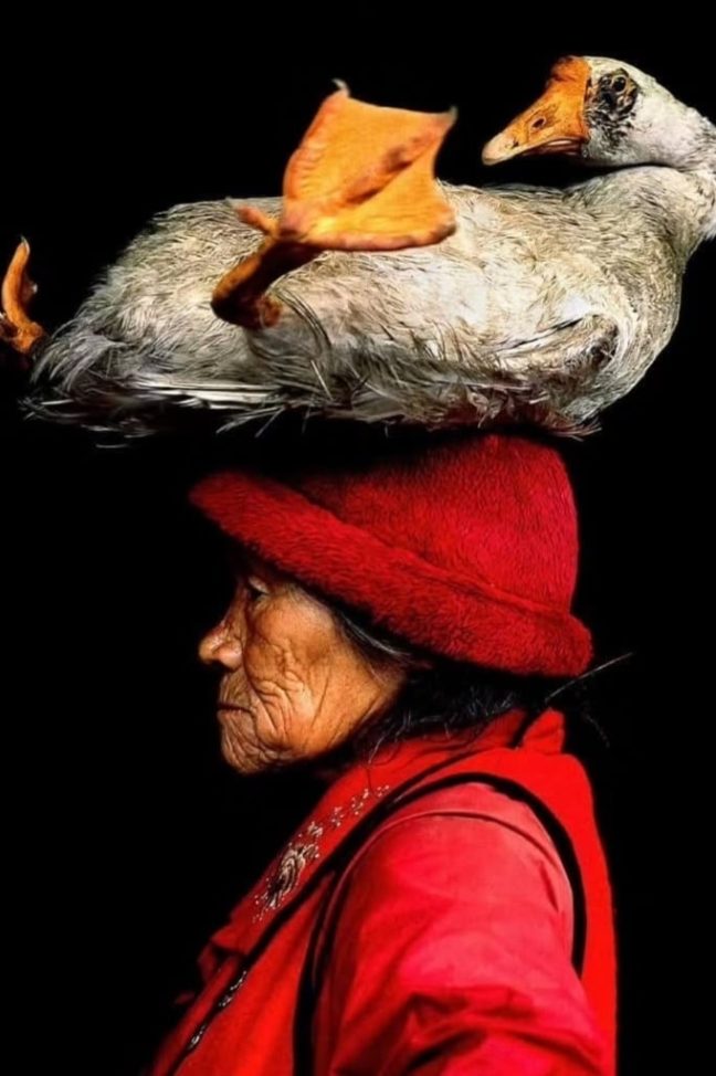 Lady with a goose
