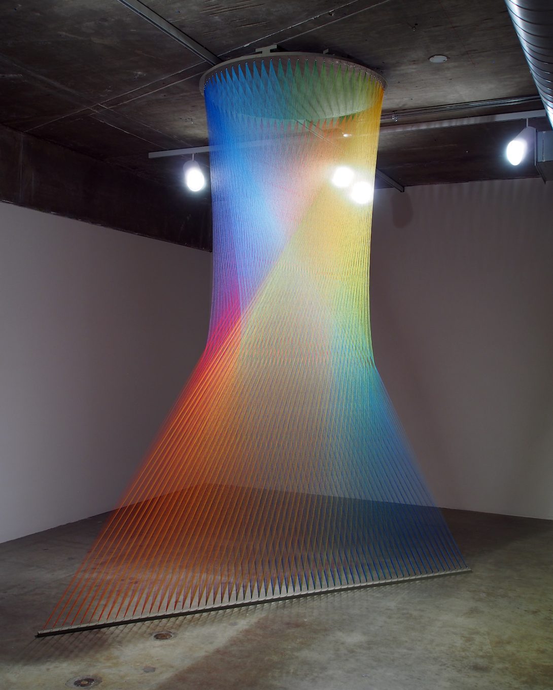 PLEXUS-24_PA311469