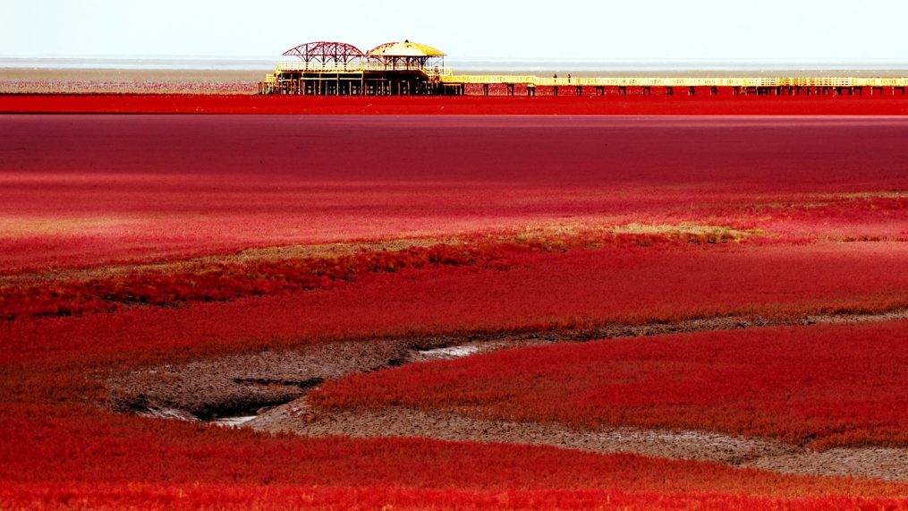 Red-Beach-3