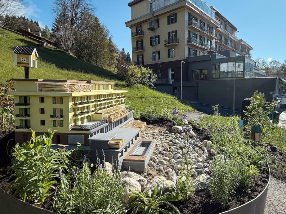 ST_Märchenhotel-Braunwald-Bienenhotel_124377-1024x768