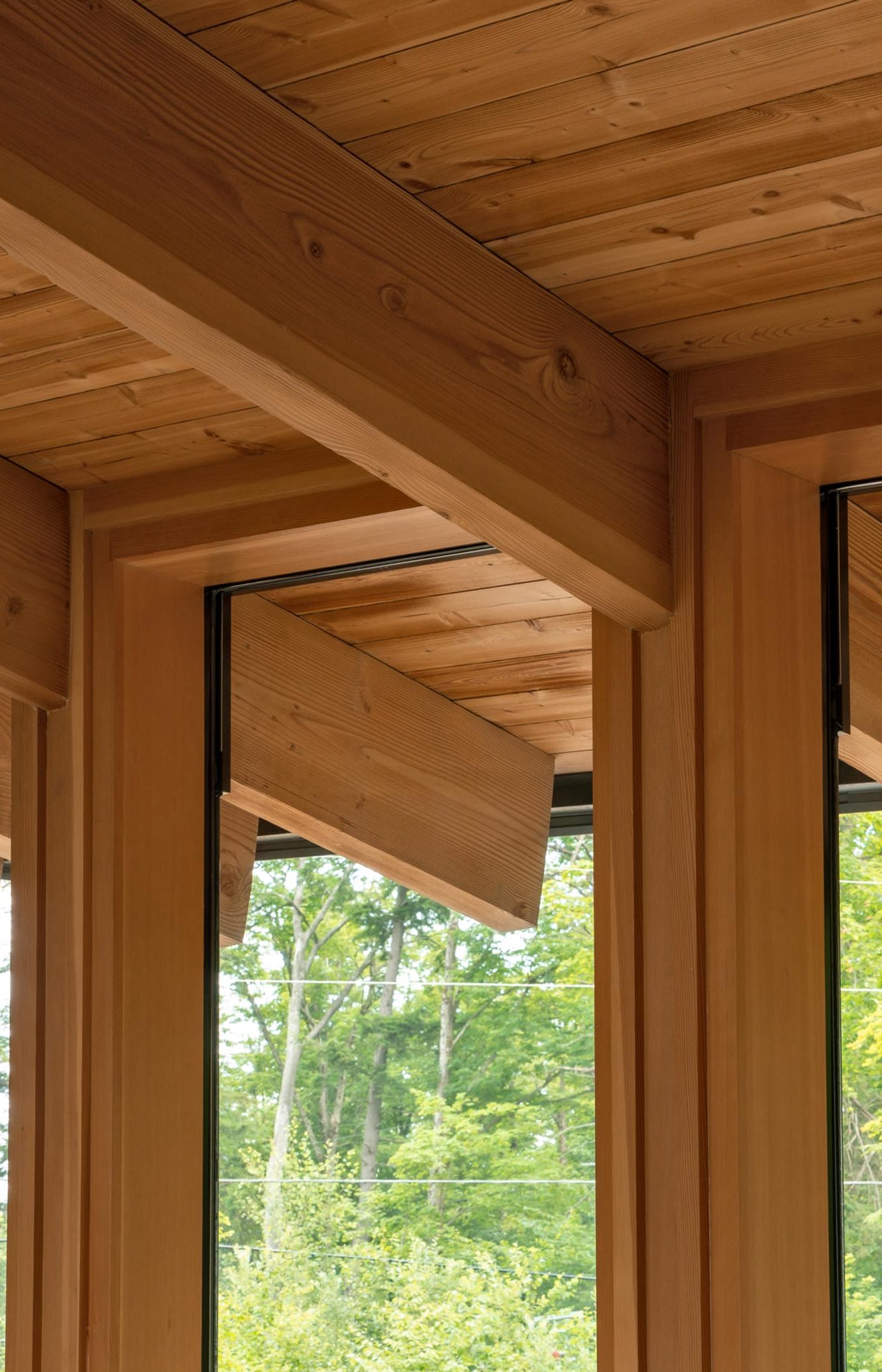 TMA_Barlochan-Summer_Low-Res-3