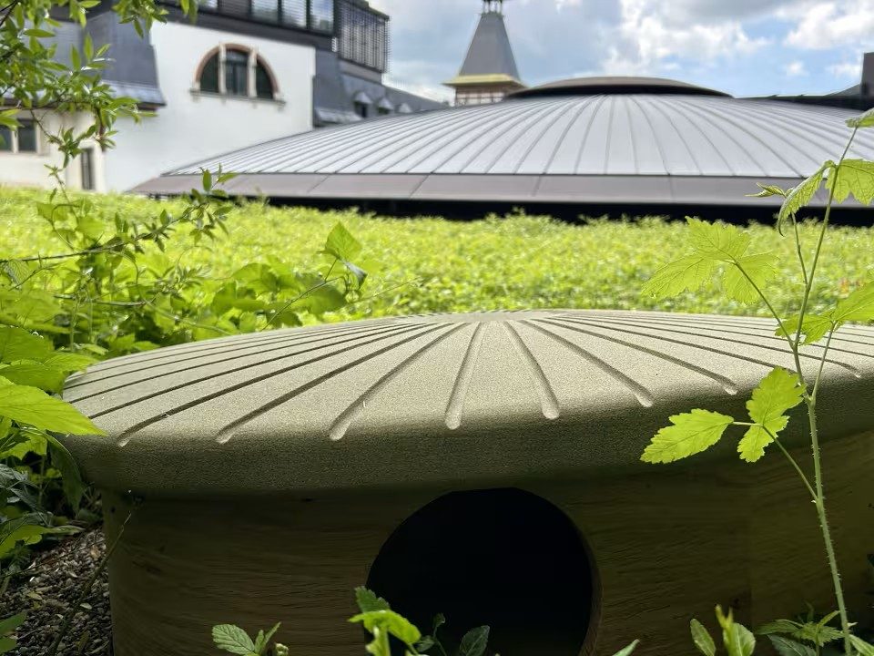 https___www.myswitzerland.com_-_media_celum connect_2025_06_02_08_22_59_beesfriendsdoldergrand